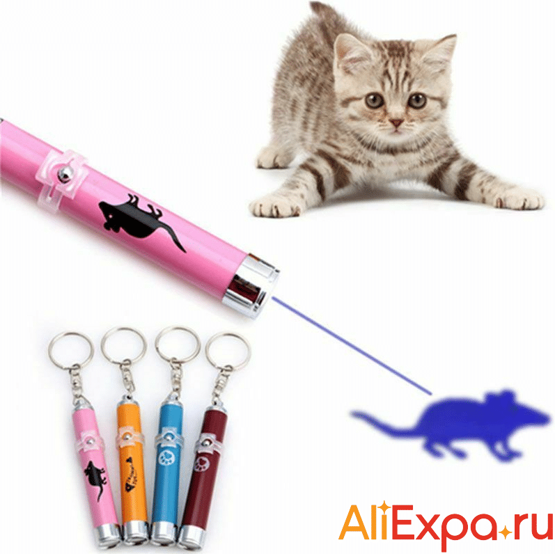 Лазерная указка для кошек DCPET купить на Алиэкспресс
